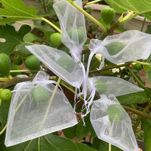 Tas Pohon buah, sayur, Tas Pohon buah, tas serut jala transparan, pelindung bernapas dan tahan serangga - Product Image 3