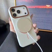 Coque de téléphone magnétique givrée à motif litchi couleur contrastée pour iPhone 17 Air 16 15 14 13 12 11 Pro Max Plus, en TPU souple