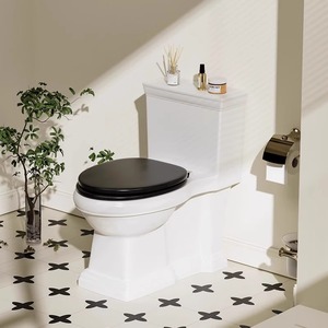 French Retro Ceramic <strong>White</strong> One-Piece High-Flush Power Toilet European <strong>Classical</strong> Siphon Style Modern Design for Home Use - Product Image 3
