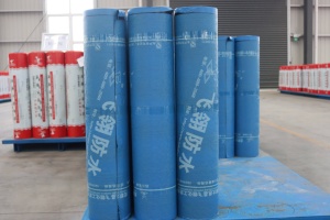 <span class=keywords><strong>Membrane</strong></span> d'<span class=keywords><strong>étanchéité</strong></span> au bitume auto-adhésive moderne avec granules minéraux <span class=keywords><strong>Membrane</strong></span> résistante à l'eau pour base - Product Image 2