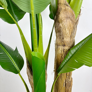 Mô Phỏng 200Cm Trong Chậu Cây Chuối Nhân Tạo Cây Chuối Giả Cây Cây Cho Nhà Trong Nhà Văn Phòng Trang Trí - Product Image 3