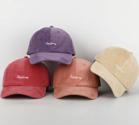 Gorra de Béisbol de Pana con Logotipo Bordado Personalizado BSCI OEM, Gorra de Alta Calidad de 6 Paneles para Hombre y Mujer, Gorras de Pana