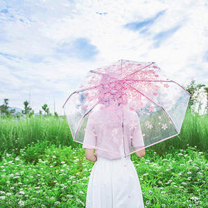 Parapluie manuel transparent à trois plis de 21 pouces avec tube en fer et motif floral pour les jours ensoleillés et pluvieux - Product Image 5