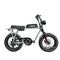 Nouveau modèle 2026 – Vélo électrique Fat Bike 20 pouces avec cadre en alliage d'aluminium, 250 W, puissant, pour neige et plage