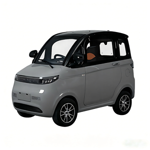 Vehículo Eléctrico de 4 Ruedas EEC para Pedidos al por Mayor, con Certificado COC Incluido, 2000W - Product Image 3