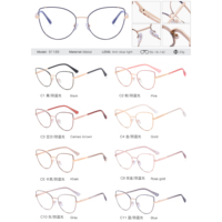 MS 81189, gafas ópticas de ojo de gato de Metal para mujer, monturas de gafas con luz azul, logotipo personalizado, diseño colorido a la moda