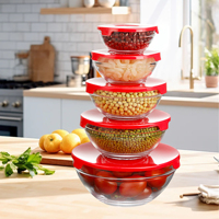 Cadeaux pour la fête des mères, ensemble de 5 saladiers en verre avec couvercles hermétiques, empilables, multi-tailles, design classique, verre + PP