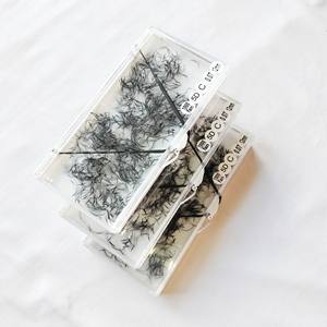 Impresionantes pestañas naturales negras 5D/1000 para maquillaje de ojos, luz suave, entrega rápida, Etiqueta Privada, extensiones de pestañas de aspecto seguro - Product Image 2