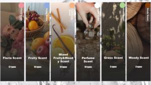 BEAVER Marque privée Vente en gros OEM Contrôle de l'huile personnalisé Soins capillaires Format de voyage Gel <span class=keywords><strong>sans</strong></span> <span class=keywords><strong>eau</strong></span> volumateur de luxe Shampooing à sec - Product Image 6