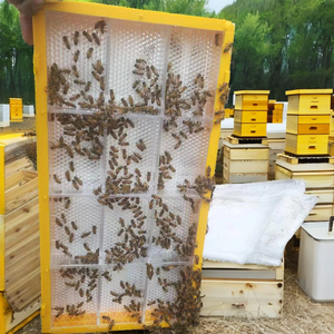 New Beekeeping Supplies Plastic Honey Frames & <b>Foundations</b> 1 Year Warranty Honey Comb Making Box - Product Image 2