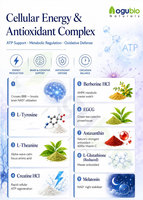 Extrait de Malva Naturel Prix Usine 10:1 Vitamine C Poudre d'Extrait Végétal Vente en Gros en Vrac Conditionné Sous Vide en Fût