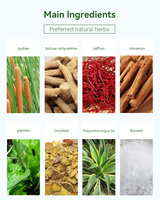 Patch Herbal Naturel pour la Prostate – Usage Externe – Soin Corporel – Soulage l'Inconfort chez l'Homme – Soutien à la Santé de la Prostate