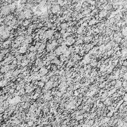 AST OEM/ODM ग्रेनाइट कीमत प्रति वर्ग फुट countertops रसोई घमंड सबसे ऊपर तालिका में सबसे ऊपर स्प्रे सफेद ग्रेनाइट पत्थर की पटिया