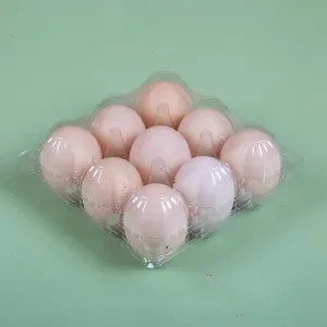Disposable PET Plastic Egg Holder With Lid 2-24 Eggs Capacity Egg Tray