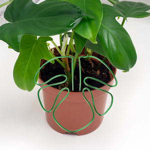 Poste de musgo recubierto de plástico para jardinería doméstica-Soporte de planta de estilo simple ecológico para uso en interiores e invernaderos - Product Image 5