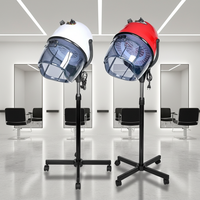 Sèche-cheveux professionnel de salon haut de gamme, à capot, sur pied, pour salon de coiffure et institut de beauté, vente en gros d'usine
