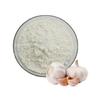 Sıcak satış sarımsak özü tozu satılık uygun fiyat kurutulmuş sarımsak tozu - Product Image 2