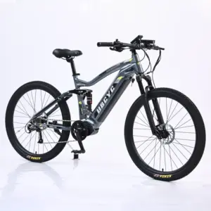 핫 세일 27.5 "29 인치 Ebike 48V 1000W 산악 전기 자전거 9 단 풀 서스펜션 미드 드라이브 모터 전기 자전거