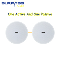 BTF32 Active 30W Haut-parleur de plafond coaxial sans cadre Bluetooth Haut-parleur de plafond principal avec 1 haut-parleur de plafond esclave