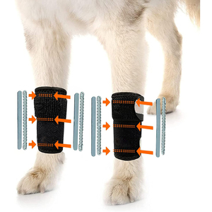 Attelle de soutien pour pattes avant de chien avec ressorts pour la cicatrisation des plaies et la protection des blessures, enveloppe de compression pour cheville d'animal de compagnie - Product Image 1