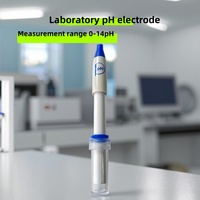 Nouvelle sonde de pH composite industrielle BetteBlue 2026 de qualité professionnelle, haute précision, sonde plate