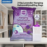 Conception OEM ODM, Sachet déshumidifiant suspendu jetable, Parfum REACH, Portable, Action rapide, Écologique, Conforme CLP PPWR, Emballage
