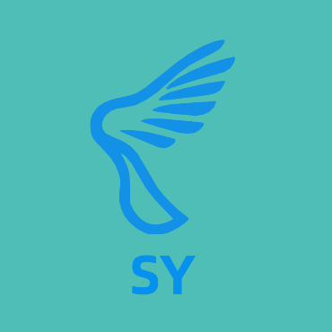 Beijing Shengyi Trading Co.,Ltd. logo