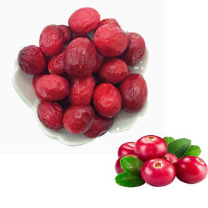 Vente en gros de snacks croustillants sains et de canneberges lyophilisées en vrac, très demandés - Product Image 1