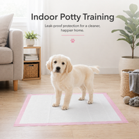 OEM ODM Tapis d'apprentissage jetables pour chiens, haute absorption, anti-fuite, pour chiots, usage domestique, en cage et en voyage