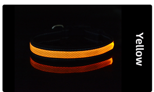 <span class=keywords><strong>Collar</strong></span> de perro de nailon de malla suave de nuevo diseño con luces LED de alta visibilidad, decoración de piel, <span class=keywords><strong>collar</strong></span> de seguridad recargable para mascotas - Product Image 6