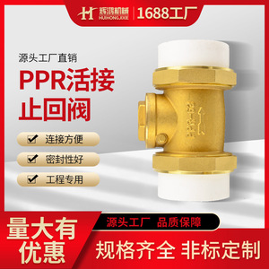 Válvula de Retención de Cobre PPR Huihong de 4, 6, 8 y 1 Pulgada, Válvula Unidireccional Recta para Accesorios de Plomería de Agua Potable - Product Image 5