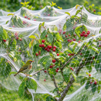 Filet anti-oiseaux robuste 120D pour la protection des arbres fruitiers, l'installation de bâtiments, les vignobles, les vergers et les jardins (Royaume-Uni)