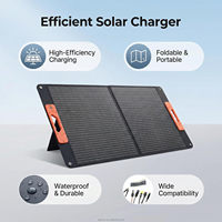 Chargeur solaire monocristallin pliable 100W, panneau solaire à haute efficacité 23%, couleur personnalisable, sortie élevée pour une utilisation en extérieur