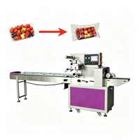 Machine d'emballage horizontale pour barquettes de légumes, produits surgelés, sachets d'huile, graines – Machine d'emballage automatique de petites pochettes à petite échelle