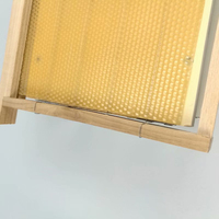 Outil électrique pour ruche le plus abordable - Nouvel équipement apicole pour l'installation des ruches