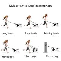 Kit de collier et laisse multifonctionnel OEM/ODM pour chien, pour chiot et chien adulte, pour la promenade en plein air et la course