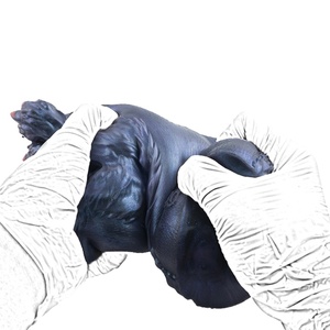 G6274 Monster Claws Masturbadores Masculinos, Vagina de Bolsillo Cerrada, Juguetes Sexuales para Hombre, Entrenamiento de Pene, Molde Sexual de Silicona con Forma de Animal - Product Image 4