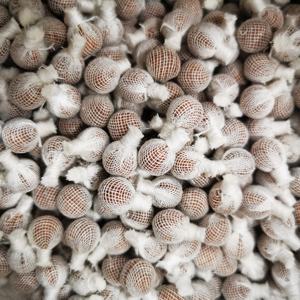 Etiqueta privada al por mayor 3 perlas Yoni Detox <span class=keywords><strong>con</strong></span> un <span class=keywords><strong>aplicador</strong></span> para el cuidado femenino Yoni Détox Detox Limpieza vaginal - Product Image 3