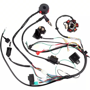 Sejow OEM ODM Hoge Kwaliteit Op Maat Gemaakte Elektrische Motorfiets Complete E-bike Hoofdbedrading - Product Image 1