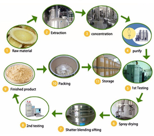Essence Supply Plant Extract Carica Papaja Bladextract 4:1 Papajabladextract - Product Image 3
