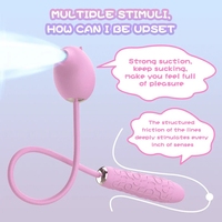 Vibrateur clitoridien à succion avec télécommande filaire, œuf d'amour en silicone texturé, stimulateur vaginal du point G, stimulation double silencieuse, jouet sexuel pour femmes