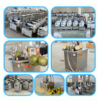 Zware hydraulische kokosnootsnijmachine, kokosnootsnijder, fruitpersmachine, extractor voor restaurantgebruik.