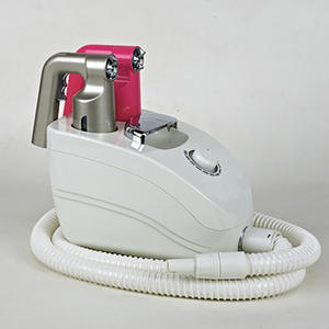 TOLHIT 450W Professional Home Solarium <span class=keywords><strong>Tan</strong></span> Bett maschine Desktop HVLP Airbrush Körper Gesicht Haut Sprüh pistole für Füße Private Label - Product Image 3