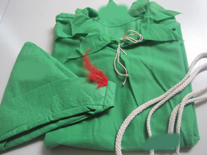 Disfraz de Peter Pan para niños y mujeres, disfraz de película de dibujos animados, Sexy, ecoparty, <span class=keywords><strong>2022</strong></span> - Product Image 5