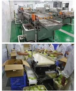 Nouvelle conception de tomates en dés Dates de découpe de radis Cube Machine de découpe avec un bon prix - Product Image 5