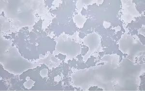 Surface agglomérée artificielle de quartz calkat de dalle de pierre de quartz - Product Image 6