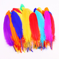 Großhandel Gänse feder 15-22CM 100Pcs/10-15CM 100Pcs DIY Modedesigner Handwerk Träumer Kleidung Dekoration