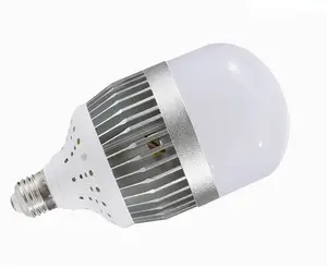 High Quality Tulip Bulb Led Corn Light B22 E27 E40 LED Bulb Big 30W 40W 50W 60W 70W 80W 100W AC 85-265V Plastic 100 360degree 80