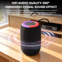 Enceinte Bluetooth Portable en Gros 5.4 avec Lumière RGB, Enceinte Sans Fil 800mAh TWS pour Extérieur, Logo Personnalisé, Fourniture en Vrac OEM