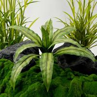 Plante artificielle à feuilles variées 58 cm, tige de Calathea réaliste pour arrangements floraux et décoration paysagère